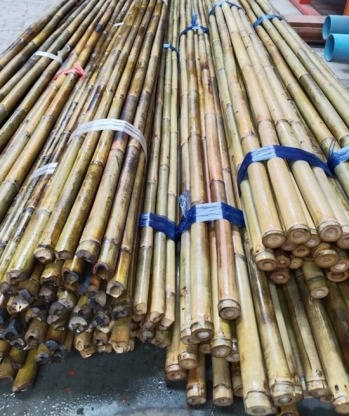 ไผ่รวกราคาถูก นิมิตใหม่ - ไผ่รวกราคาถูก นิมิตใหม่