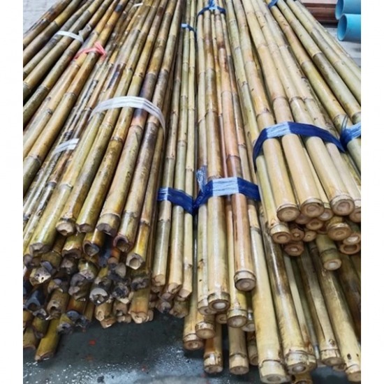 ไม้ยูคา - ไม้ไผ่ นิมิตใหม่ สุนทรวาณิชย์ - ร้านขายไม้รวกราคาถูกนิมิตใหม่