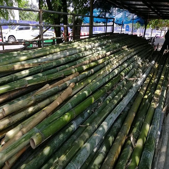 ไม้ไผ่ นิมิตใหม่